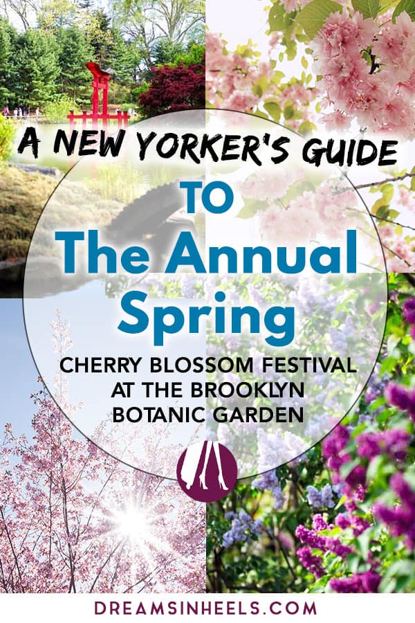 A New Yorker’s Guide To The Annual Spring Cherry Blossom Festival At The Brooklyn Botanic Garden