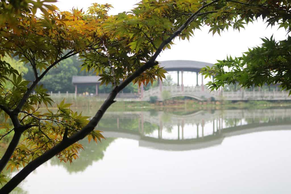 Unique places to visit in China - 5 underrated Cities in China to visit now