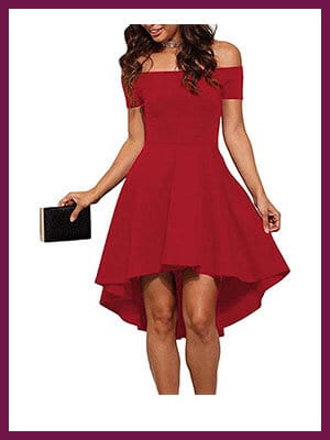 Cocktail Skater Dress