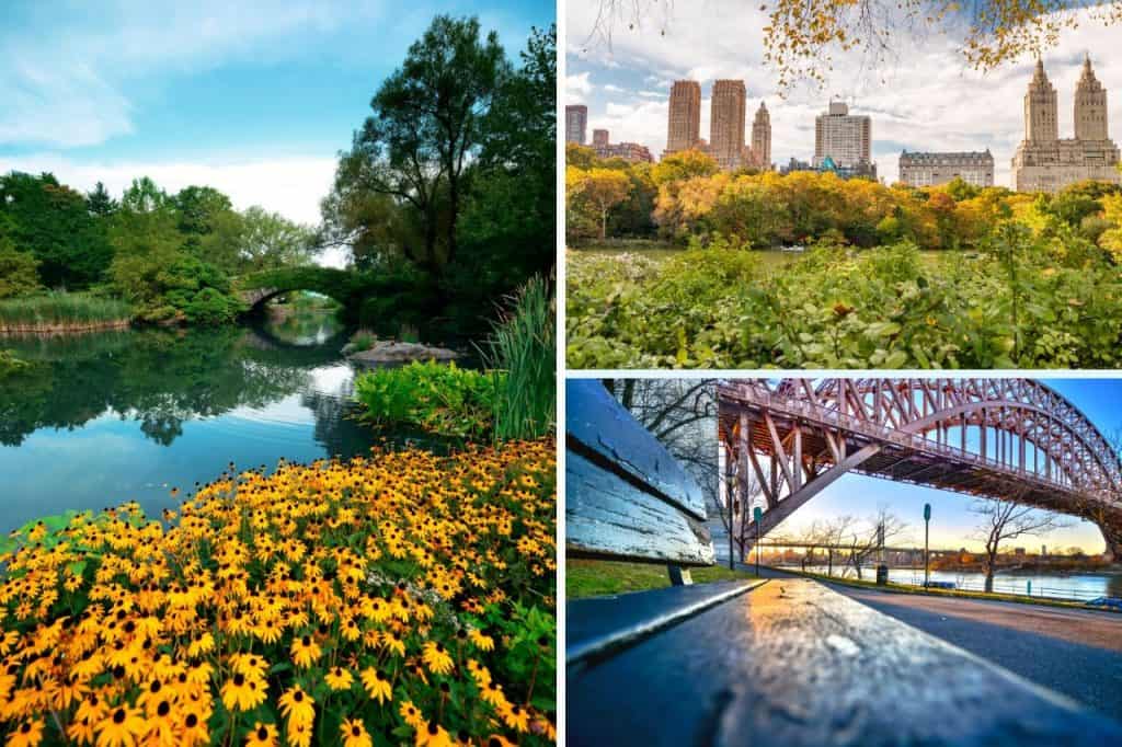 Best Parks In NYC As Per A Native New Yorker
