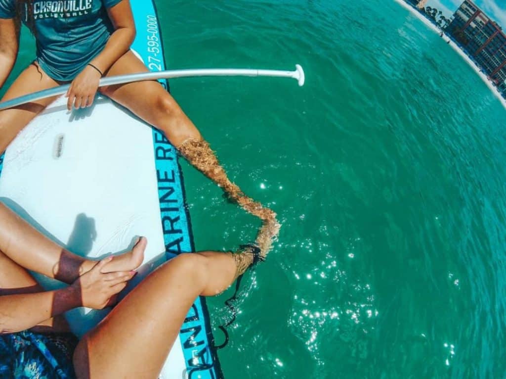 Clearwater Beach Florida Paddleboard