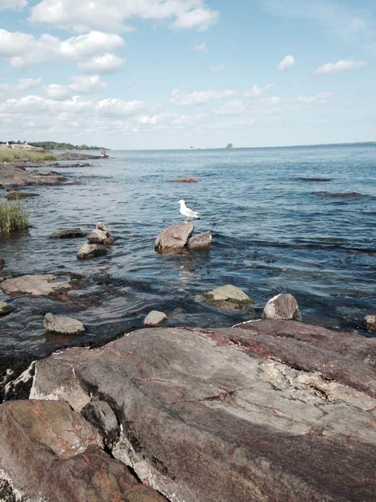 Orchard Beach - best beaches in the bronx new york city
