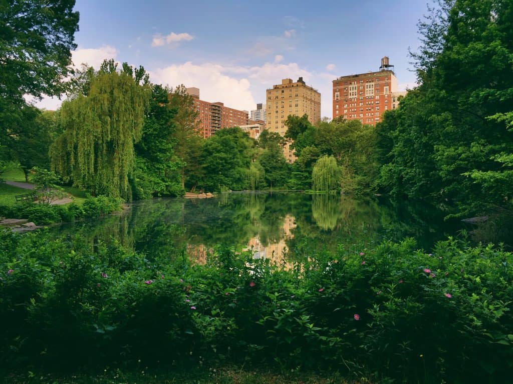 new york city central park oasis - Best Parks In New York City