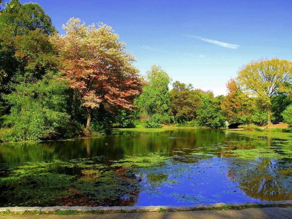 prospect-park-brooklyn-new-york