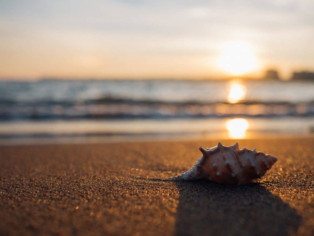 seaside-best-beaches-in-jersey-shore