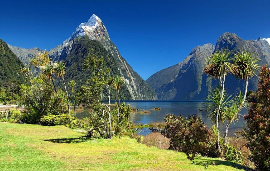 Queenstown To Milford Sound - Best Things To Do In Milford Sound New Zealand