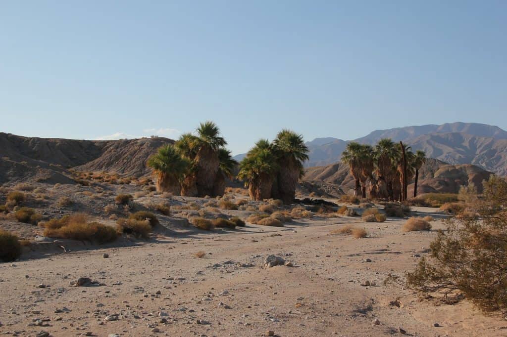 anza-borrego-desert-california-traveling