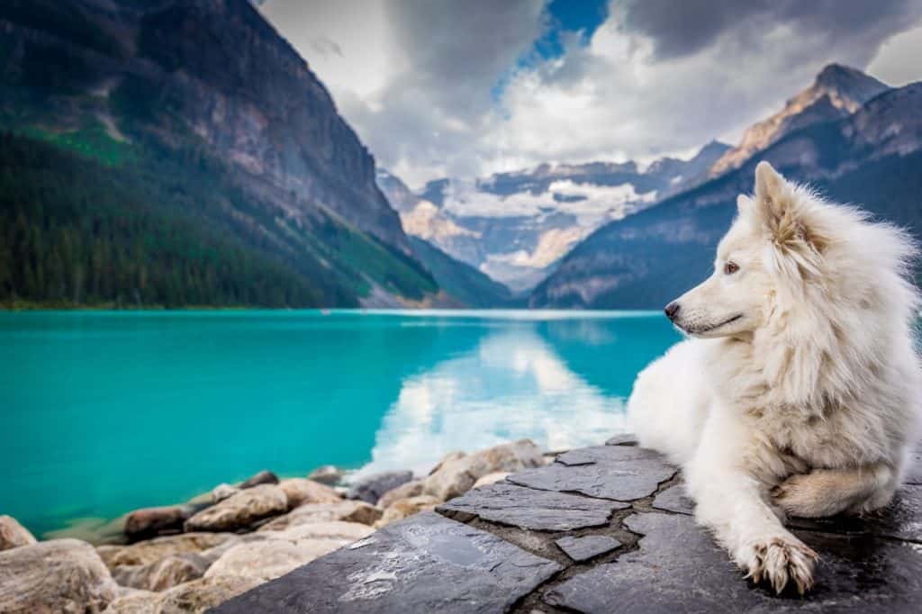 lake louise banff canada activities