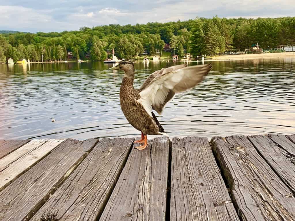 oldforge-adirondacks-usa