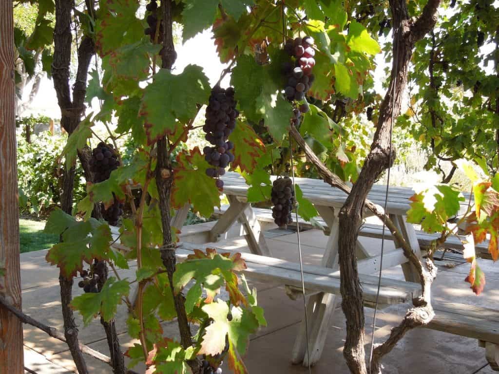 paso-robles-southern-california