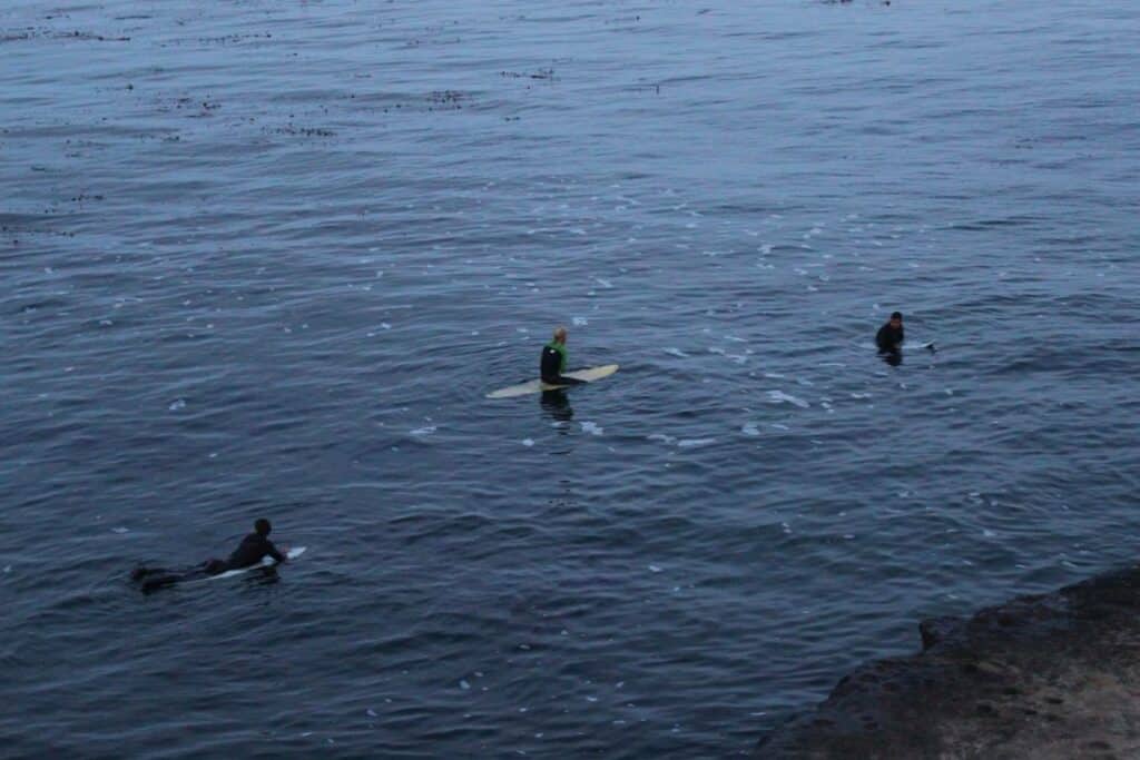 Surfers_Santa Cruz_USA