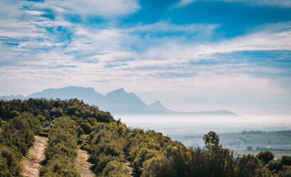 Wine Tasting Stellenbosch - Top 8 Wine Farms And Estates
