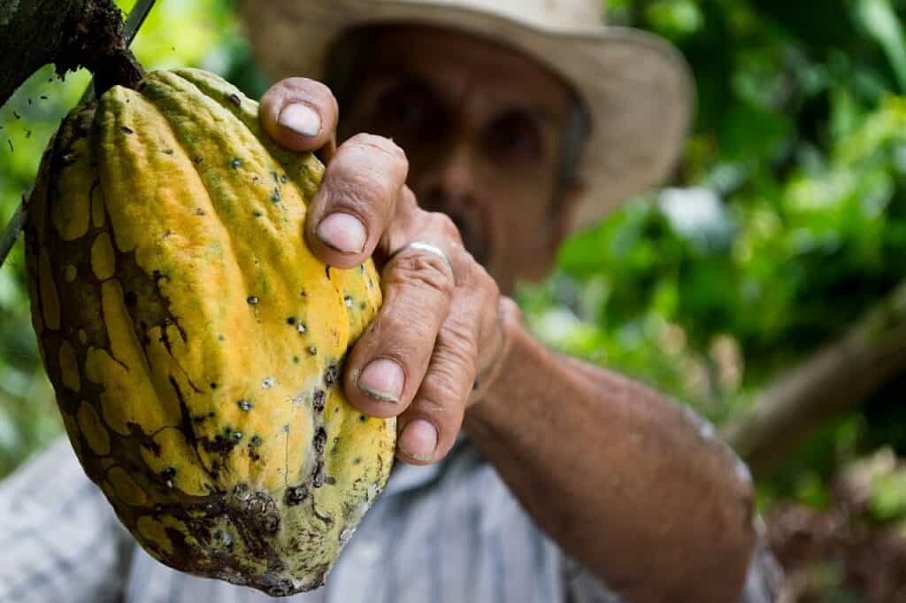 planning-a-trip-to-colombia-cocoa