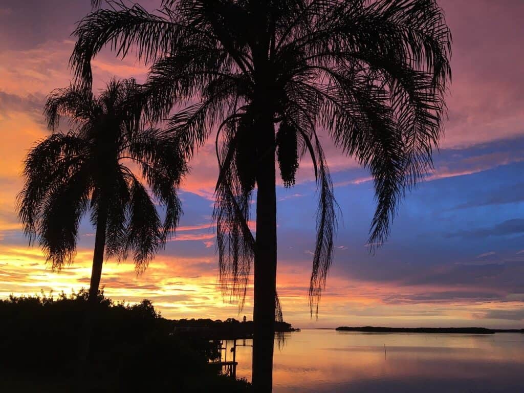 best-food-in-tampa-florida