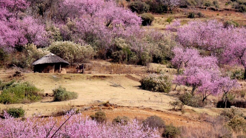 lesotho-south-africa-travel-hut