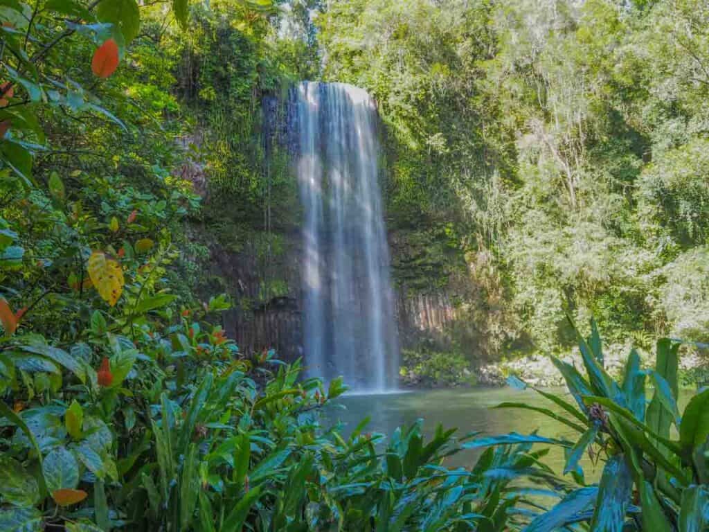 millaa-falls-near-cairns-australia