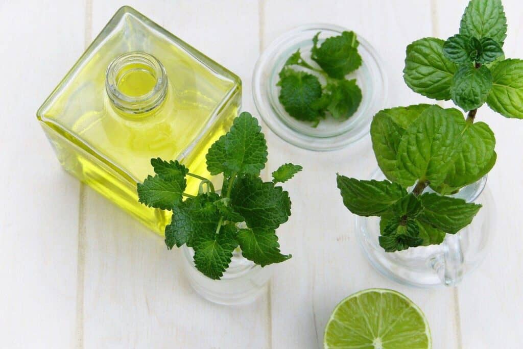 quality for less - sustainable fragrances