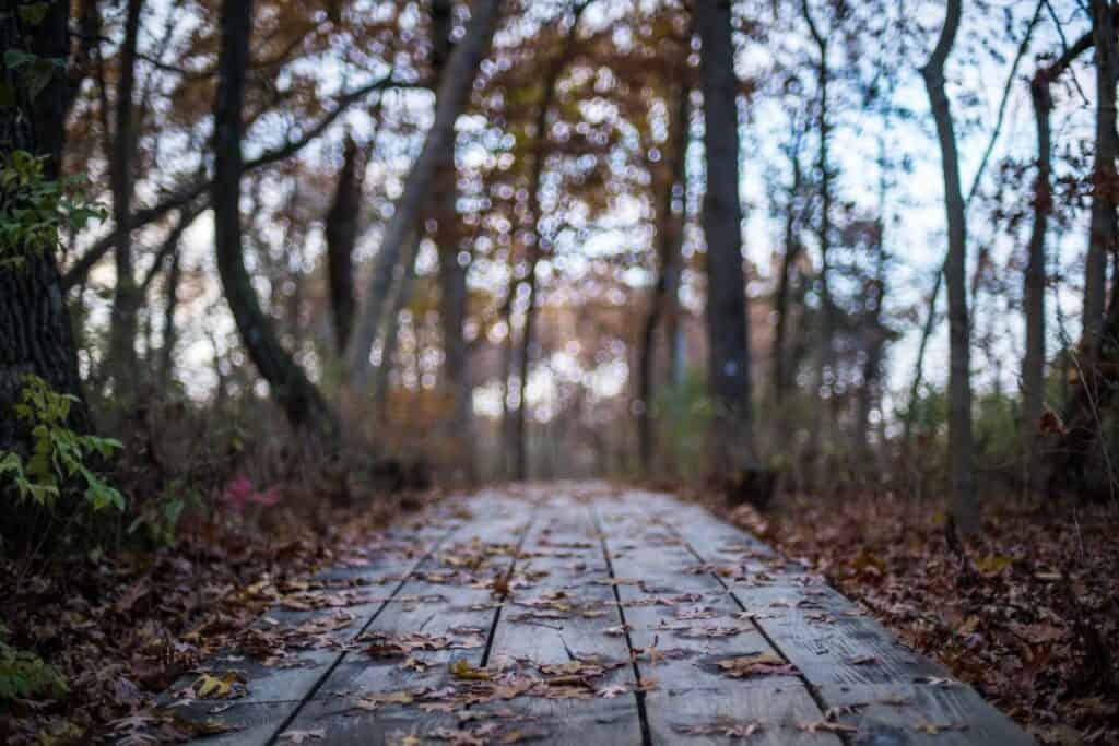 Starved Rock State Park Illinois