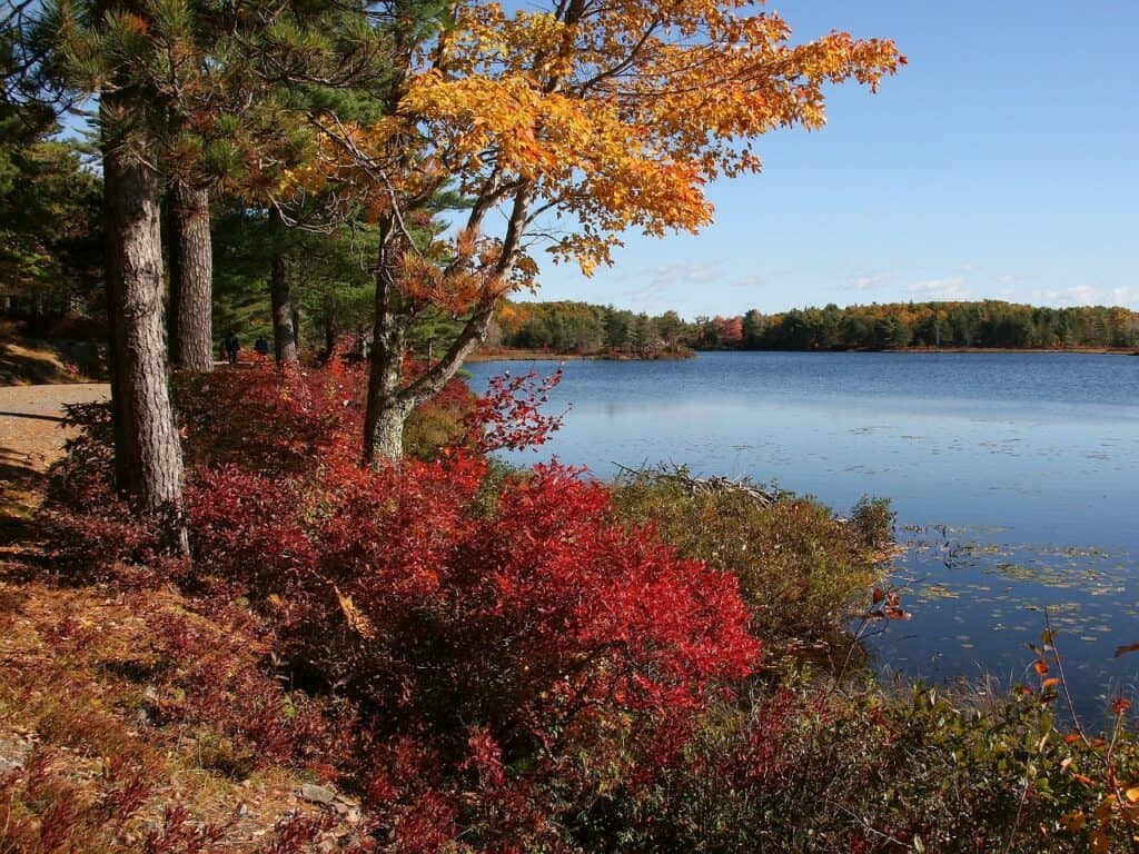acadia-national-park-best-fall-foliage-in-new-england