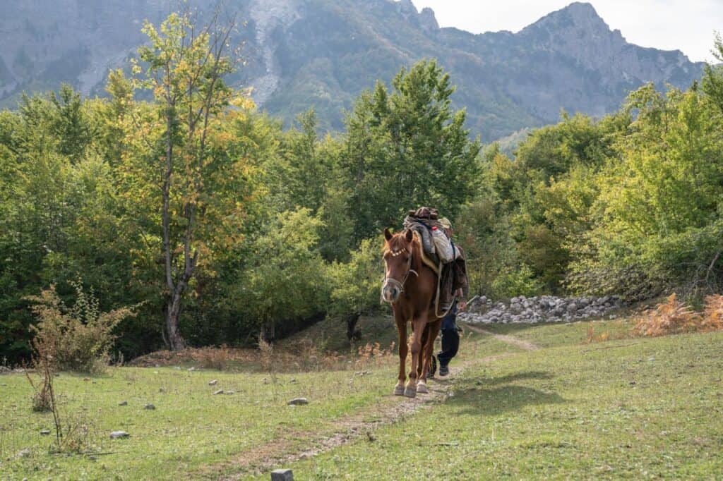 horseback riding in the albanian alps - valbona national park