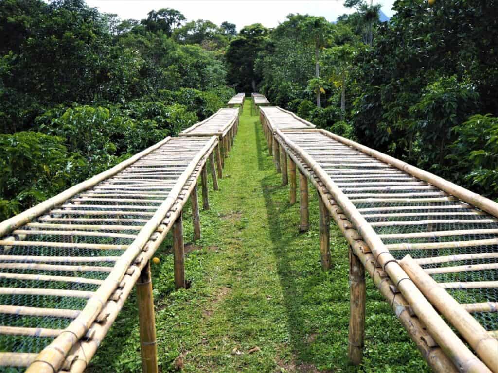 Drying racks at a Panamanian coffee plantation