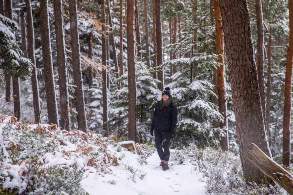 packing list for hiking in winter