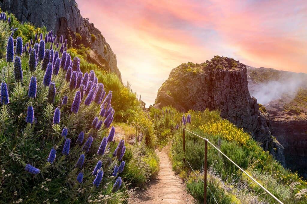 10 Best Things to Do in Madeira Island, Portugal